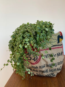 Vintage Kantha Jute Basket - Red